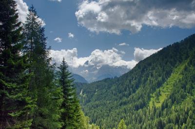 Parco Naturale Adamello Brenta