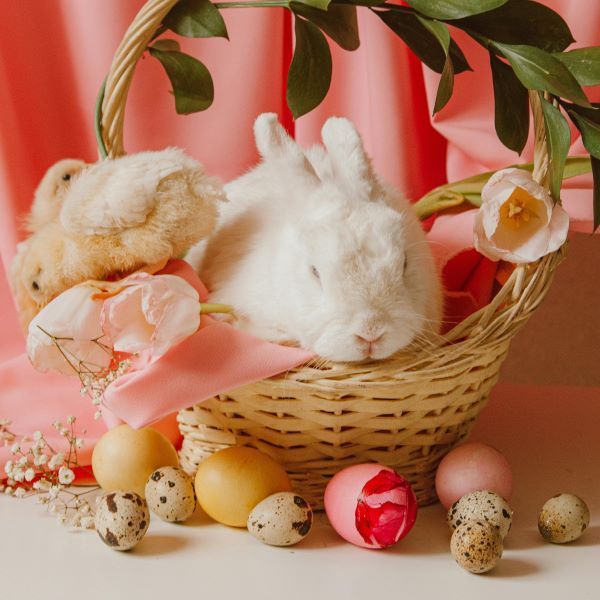 BuonaPasqua.jpg